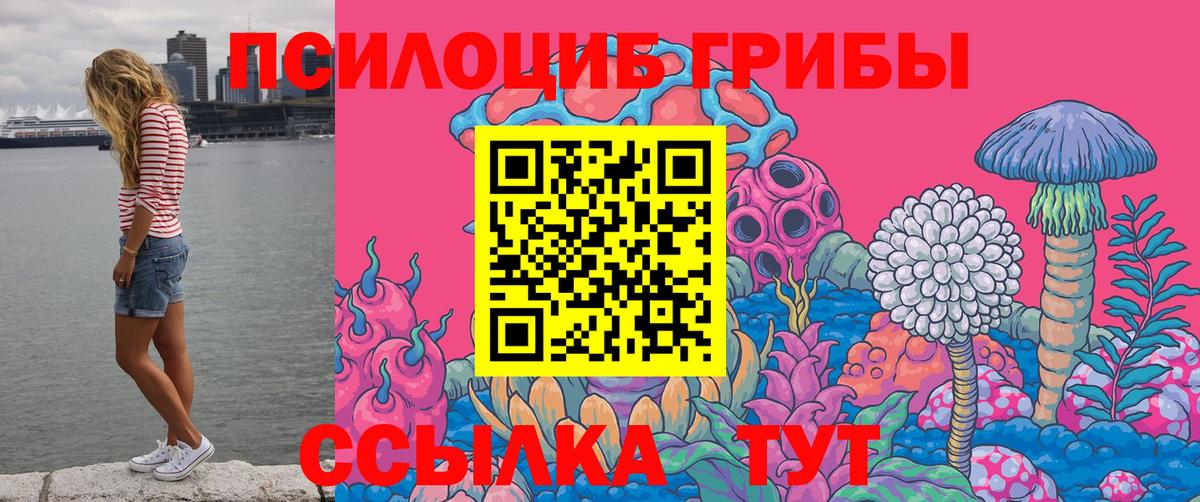 Псилоцибиновые грибы Psilocybe Юрга